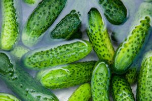 Pickled Cucumbers Recipe