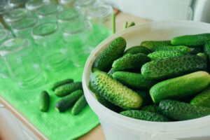 Pickled Cucumbers Recipe
