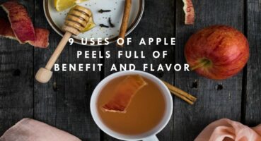 9 Uses of Apple Peels Full of Benefit and Flavor